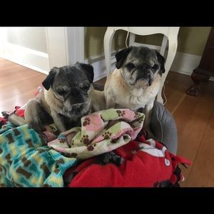 Meet your Posher, Linda